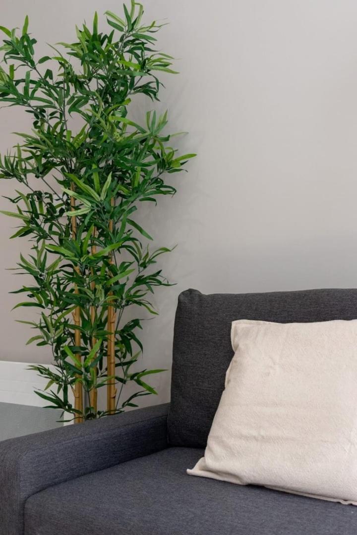 Lille centre - Beautiful 2-room apartment 3 pers Exterior foto